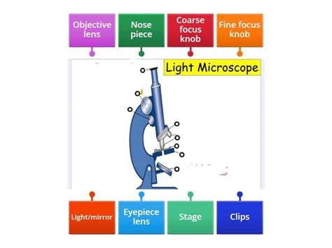 Light Microscope Examples 的图像结果