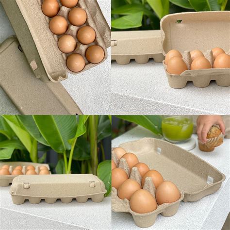 160x 12 Egg Carton - Standard Pulp Unlabelled Bulk Wholesale – Kuhn ...