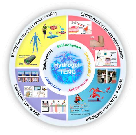 Development and Applications in Intelligent Sports of Hydrogel-Based ...