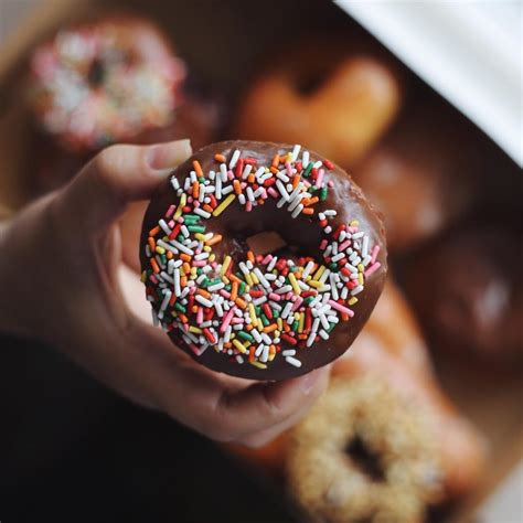 Countryside Donut House - Breakfast in Bothell | Begin at Bothell