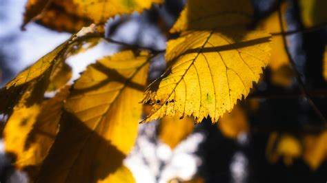 Photography Photos as Local 的图像结果