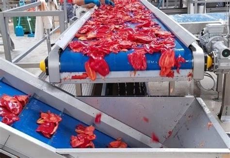 Plastics in Food Processing