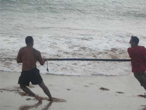 Paradiso Travels - Private Day Tours (Negombo) - 2022 What to Know ...