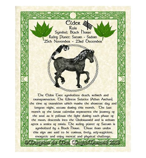 Celtic zodiac animal 60 photos - Astrologytoyou.com