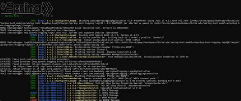 Image result for Java Spring Log.info How to Write Log Messages