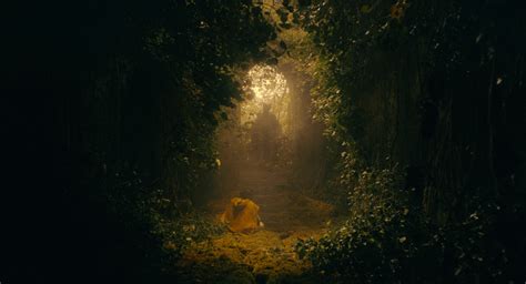 Class Analysis of Joker (2019) and The Dark Knight Rises (2008) : r ...