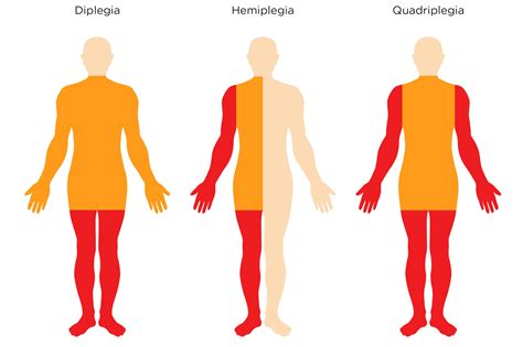 18 Facts About Apple Blossoms - Facts.net