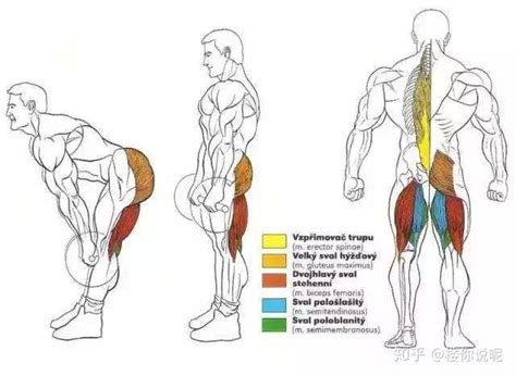 Image result for Ban System Script