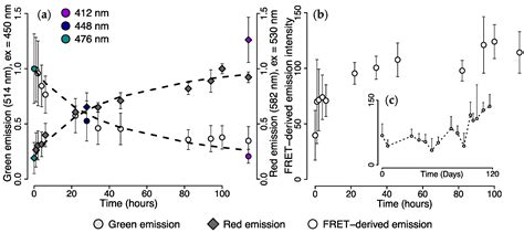 FRET-Mediated Long-Range Wavelength Transformation by Photoconvertible ...