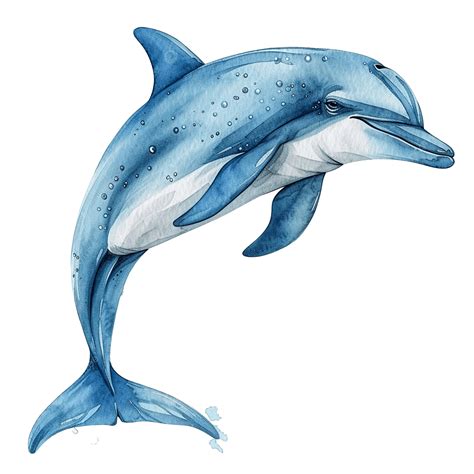 Watercolor Dolphin Clip Art, Dolphin, Fish, Watercolor PNG Transparent ...