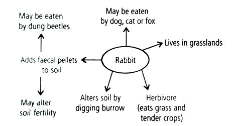 Ecological niche is