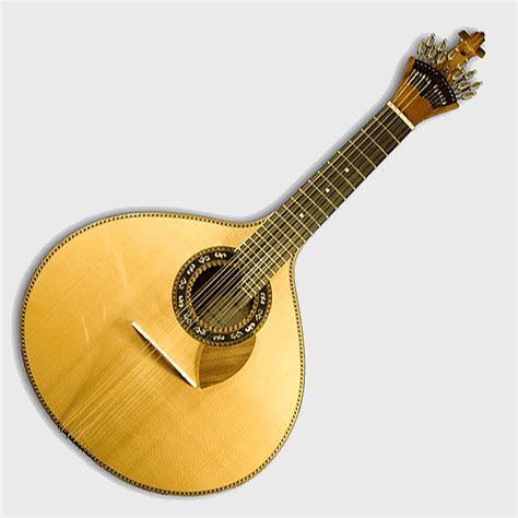 Portuguese guitar, acoustic-electric guitar, cavaquinho, plucked string ...