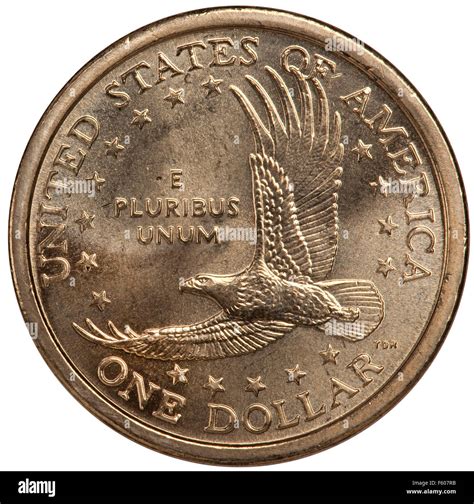 The reverse side of the United States Sacagawea dollar coin 2000-2008 ...