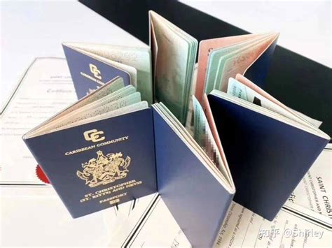 拥有第二身份如何使用？揭开护照行走的秘密_国籍法