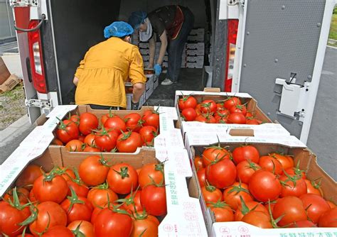 Agriculture China 的图像结果