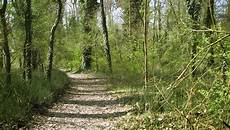 oasi pavia oasi bosco negri lipu onlus oasi pavia oasi bosco negri lipu onlus