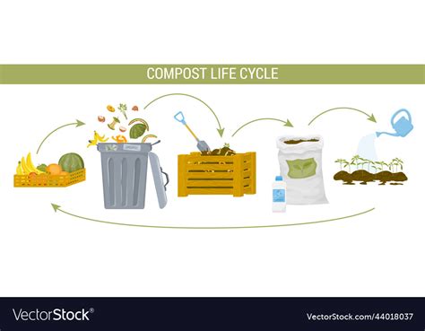 Composting Infographic 的图像结果