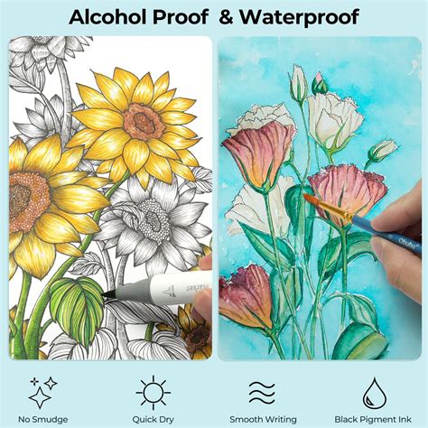 Ohuhu Set of 40 Alcohol Markers and 9 Liquid India | Ubuy