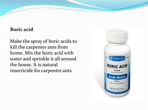 PPT - NATURAL HOME REMEDIES FOR CARPENTER ANTS CONTROL PowerPoint ...