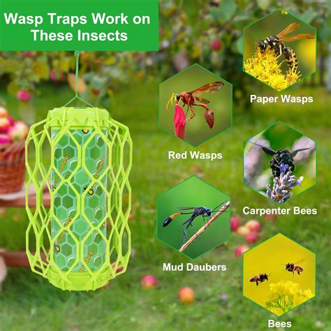 Paper Wasp Trap Rescue TSW Visilure TrapStik For Wasps 3 TRAPS