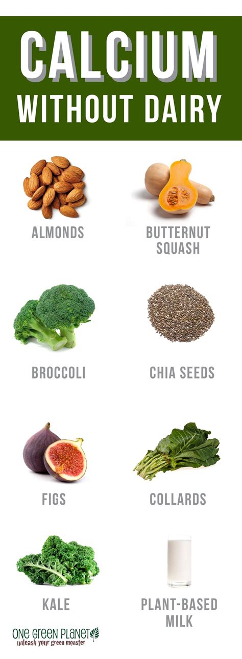 Non Dairy Calcium Rich Foods - non dairy sources of calcium