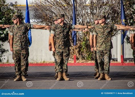 Marine Standing At Attention