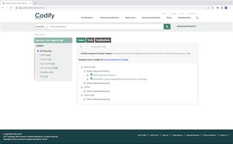 Codify Python 的图像结果