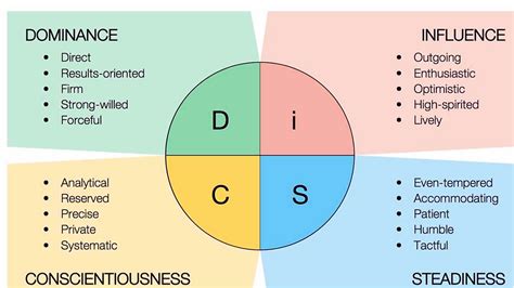 Disc Behavioral Styles 的图像结果