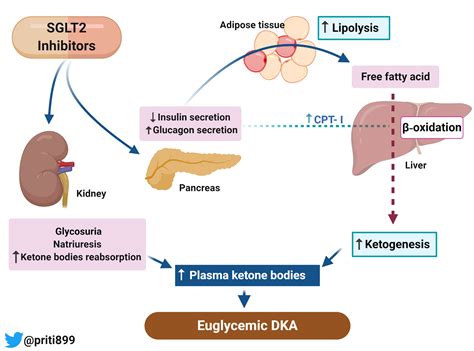 SGLT2 Inhibitor-induced Euglycemic Diabetic Ketoacidosis - Renal Fellow Network