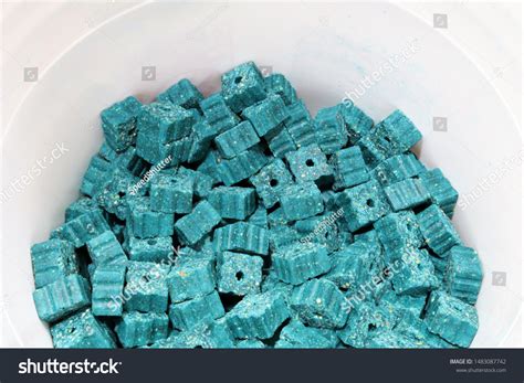 779 Rat Elimination Images, Stock Photos & Vectors | Shutterstock