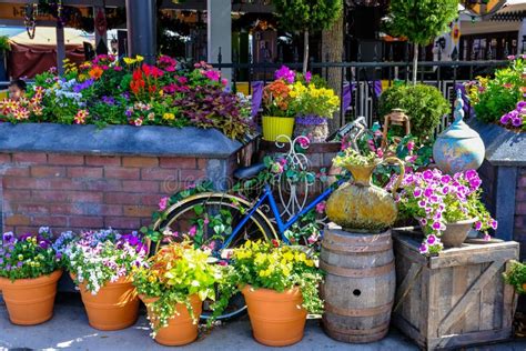 Shop Local Spring 的图像结果