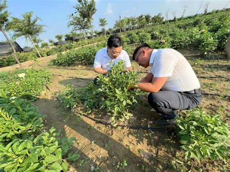 菏泽曹州牡丹园攻略,菏泽曹州牡丹园门票/游玩攻略/地址/图片/门票价格【携程攻略】