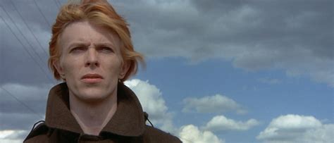 Top 13 David Bowie-Related Horror Films – Frightday