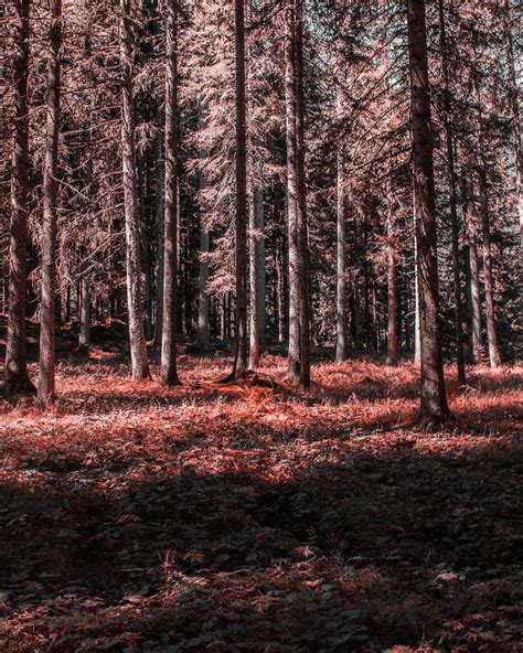 Así es como ve el mundo una persona daltónica con tritanopia | Noticias ...