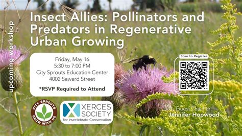 Insect Allies: Pollinators and Predators in Regenerative Urban Growing ...