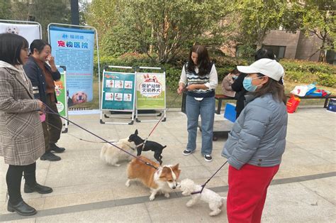 中国宠物文化节北京站完美谢幕 |精彩回顾 - 中国宠物文化节