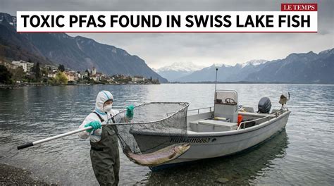 Toxic PFAS Found in Swiss Lake Fish - founded in switzerland