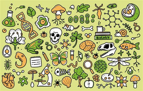 Biology Doodle Art 的图像结果