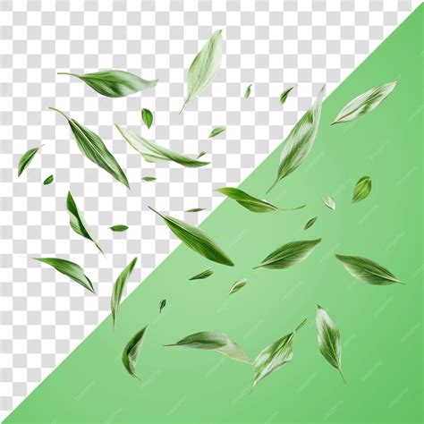 Png flying grass petals background leaves white | Premium AI-generated PSD