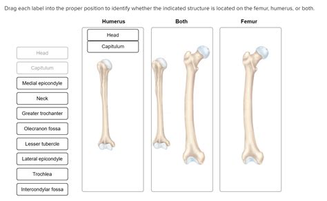 i am very confused about the different names for similar structures ...