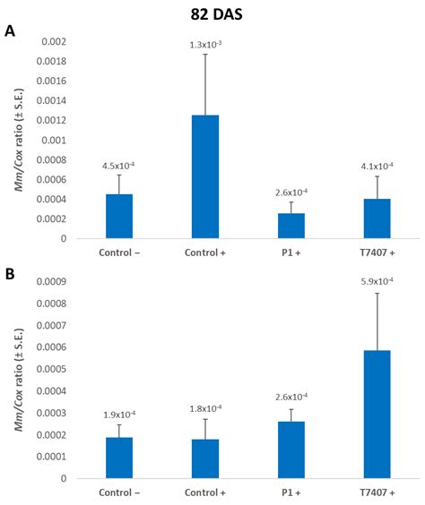 Trichoderma longibrachiatum and Trichoderma asperellum Confer Growth ...