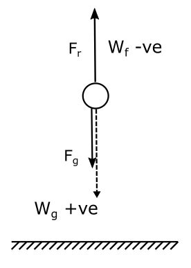 Examples of Conservative Forces 的图像结果