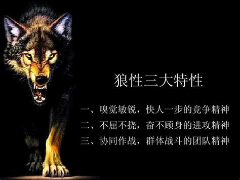 游戏新消息：狼与香辛料VR212月10日推出登陆各大VR平台_公会界