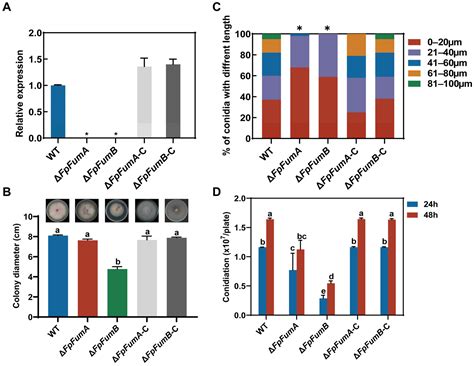 FpFumB Is Required for Basic Biological Processes and Virulence in ...