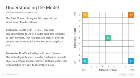 Managerial Grid Model 的图像结果