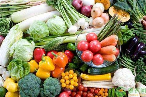 辰颐物语编辑部整理:2020年全国蔬菜价格行情预测_辰颐物语官网