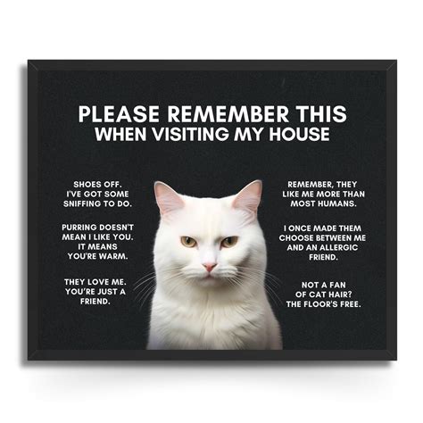 Funny Cats With Quotes