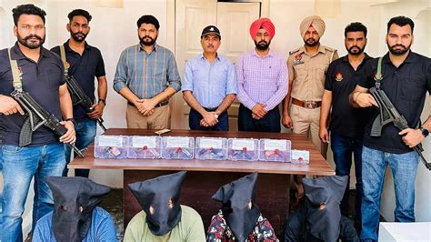 Punjab Police nab 4 shooters of Lawrence Bishnoi's gang, 6 pistols & 26 ...