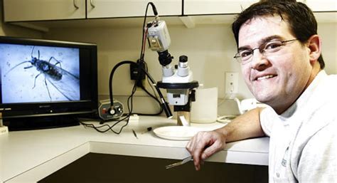 Swarms of aphids bugging residents along Wasatch Front – Deseret News