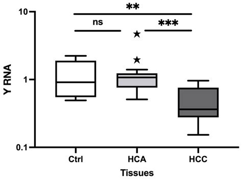 Novel Y RNA-Derived Fragments Can Differentiate Canine Hepatocellular ...
